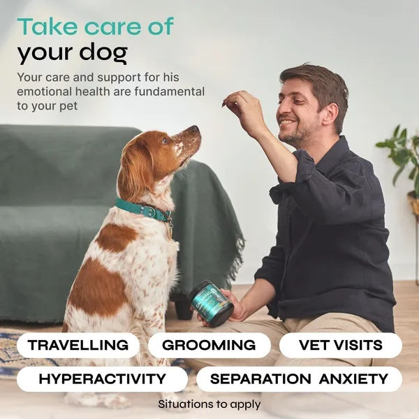 Hemp Calming Chews for Dogs – Anxiety & Stress Relief with Hemp, Chamomile & Valerian Root | Natural Chews for Travel, Fireworks & Separation Anxiety