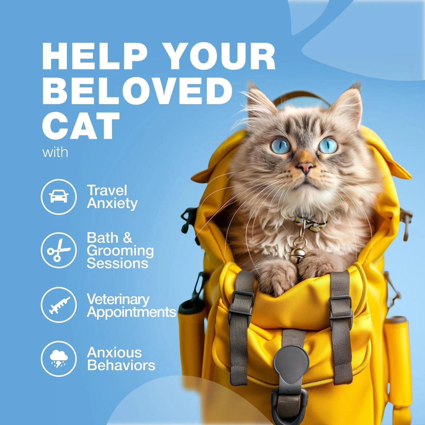 Hemp Calming Chews for Cats – Anxiety & Stress Relief with Melatonin & Probiotics