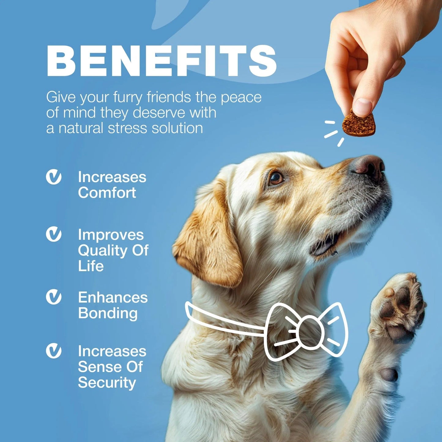 Hemp Calming Chews For Dogs Anxiety Dog Calming Treats With Melatonin Valerian Root Chamomile Extract & Vitamin B Complex Canine Chews For Vet Visits Grooming Travel Thunderstorms Fireworks