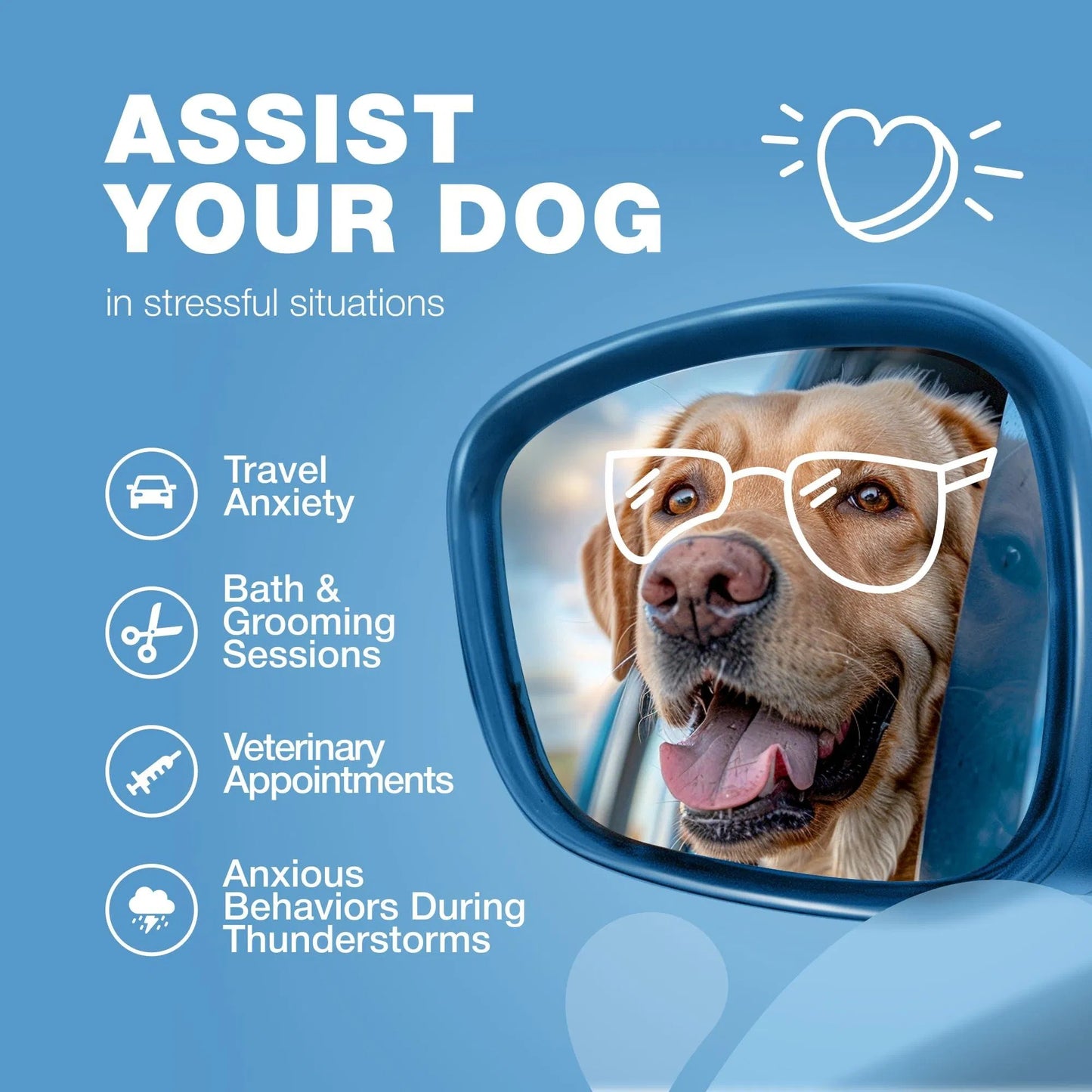 Hemp Calming Chews For Dogs Anxiety Dog Calming Treats With Melatonin Valerian Root Chamomile Extract & Vitamin B Complex Canine Chews For Vet Visits Grooming Travel Thunderstorms Fireworks