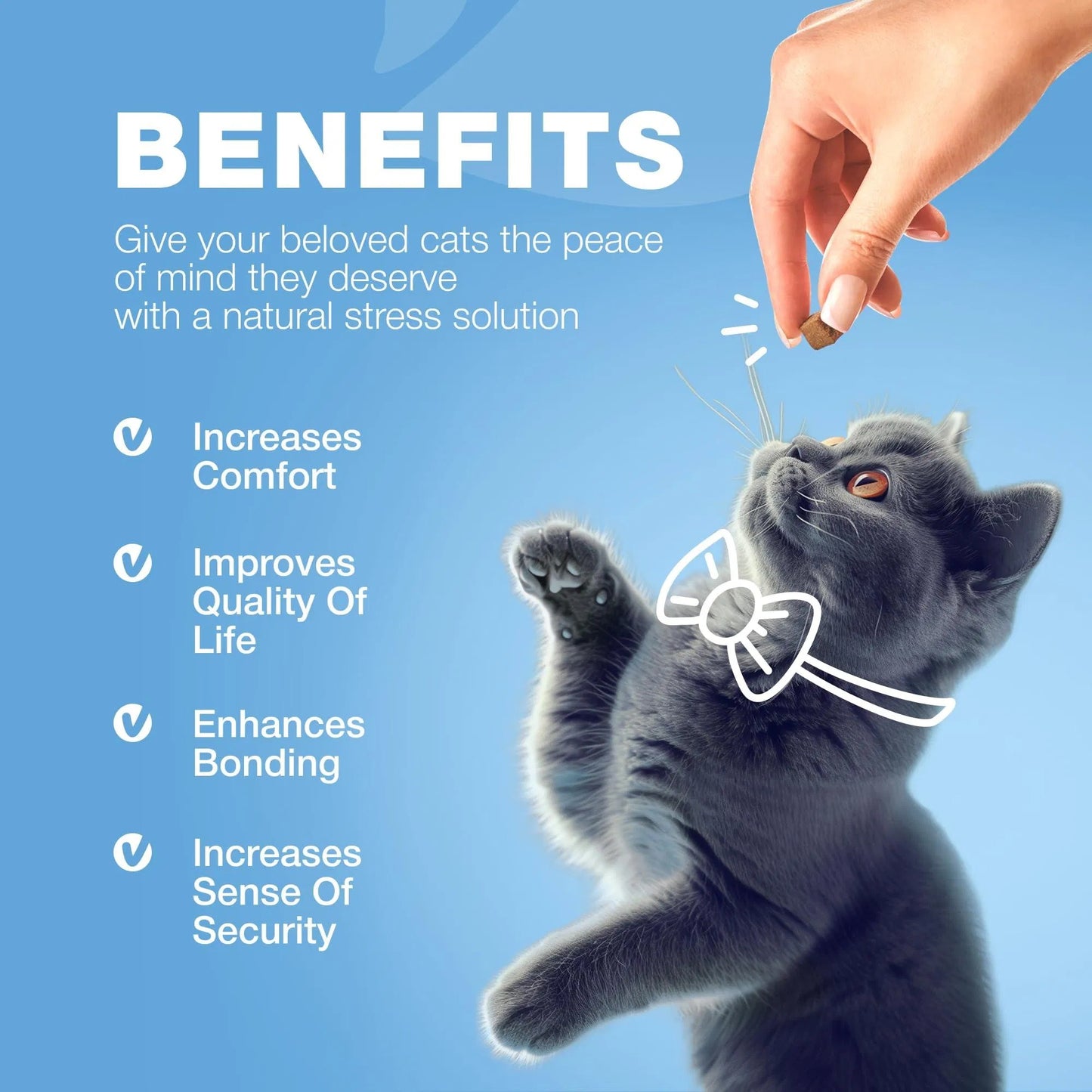 Hemp Calming Chews for Cats – Anxiety & Stress Relief with Melatonin & Probiotics