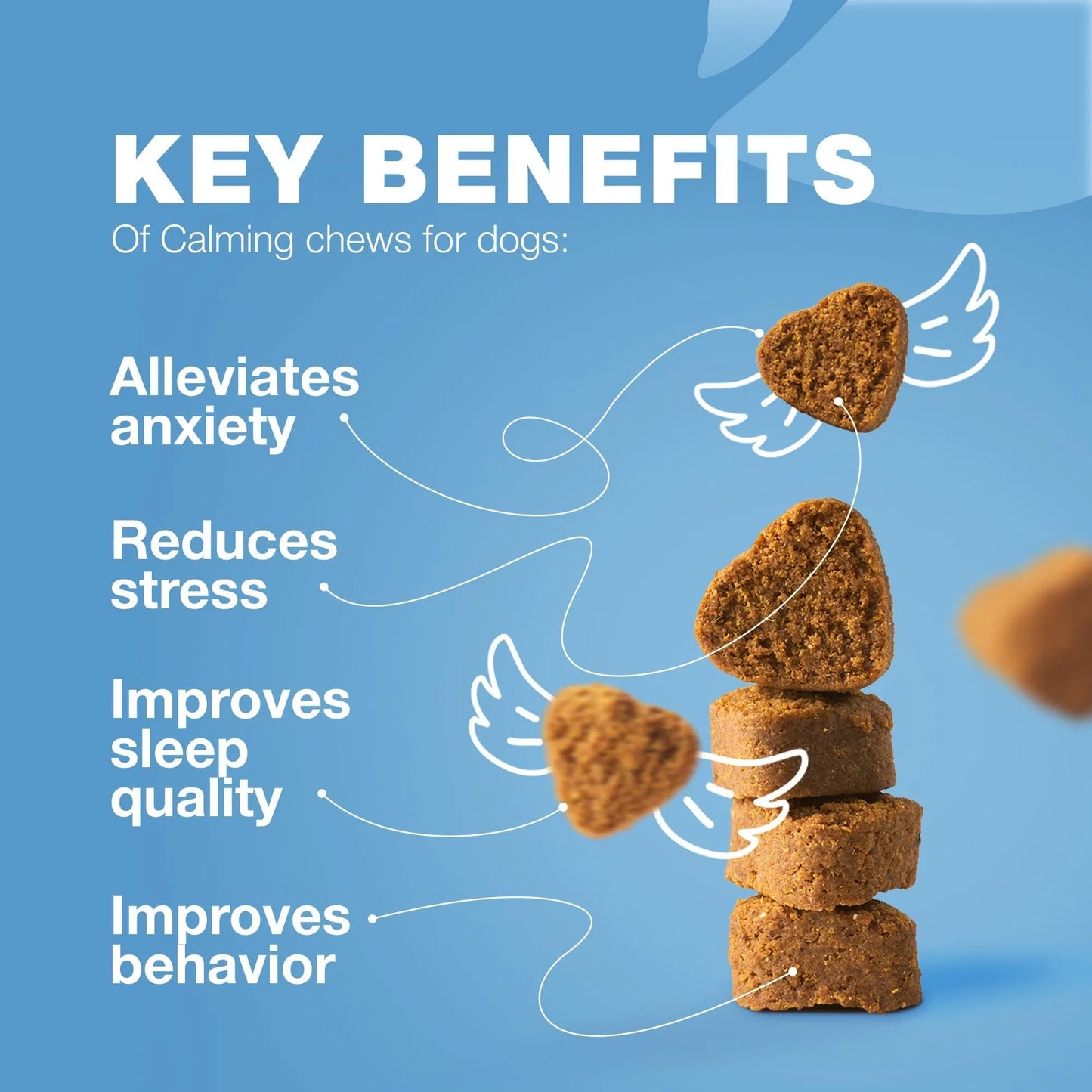Hemp Calming Chews For Dogs Anxiety Dog Calming Treats With Melatonin Valerian Root Chamomile Extract & Vitamin B Complex Canine Chews For Vet Visits Grooming Travel Thunderstorms Fireworks